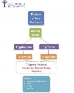 Power-of-Protein-Diagram