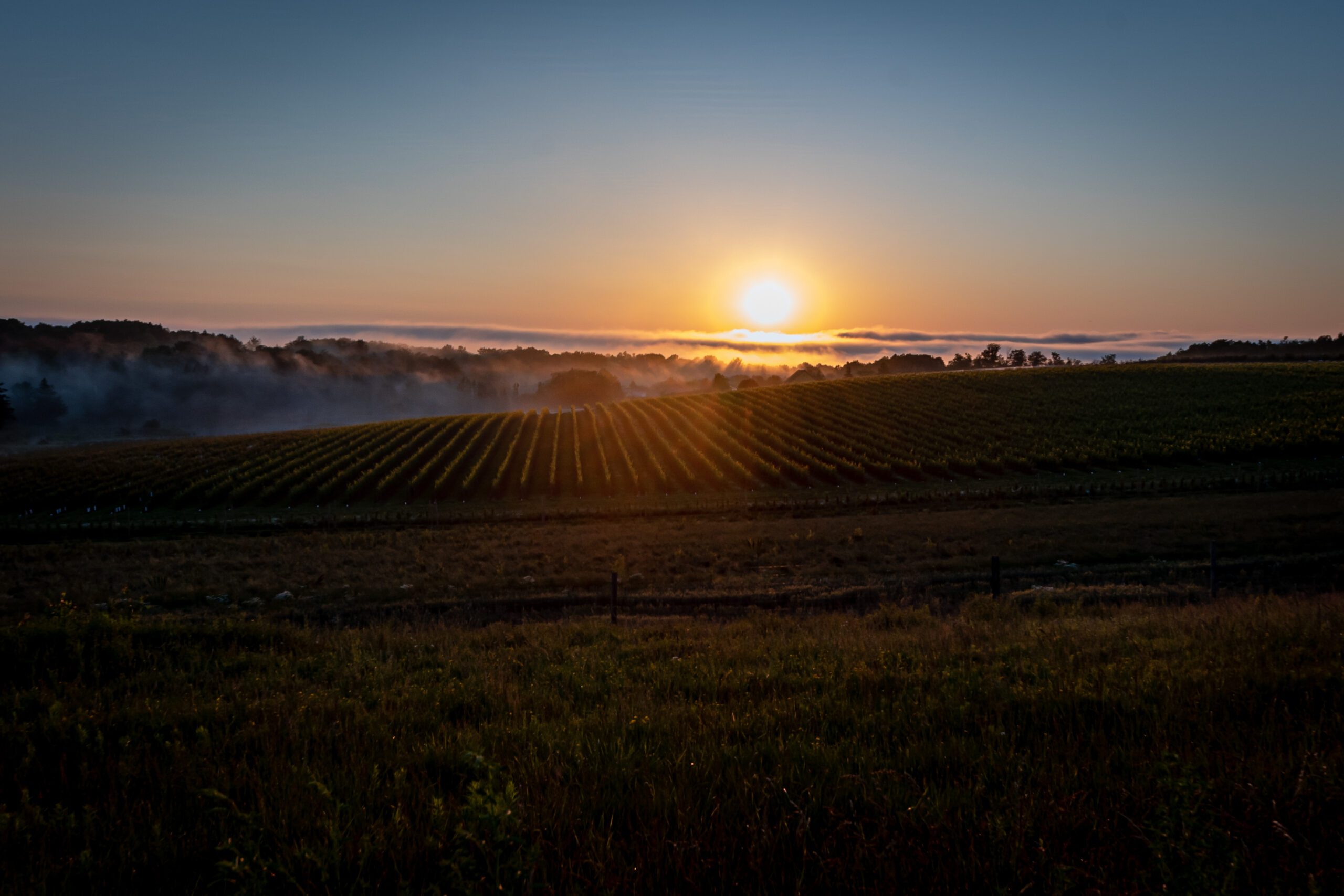 Morning view from Ledghill Treament Centre of sun rising on the field