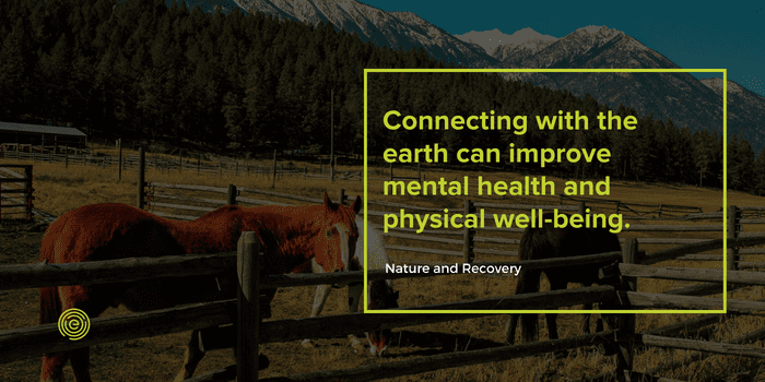 Quote- connecting with the earth can help improve mental and physical health. 