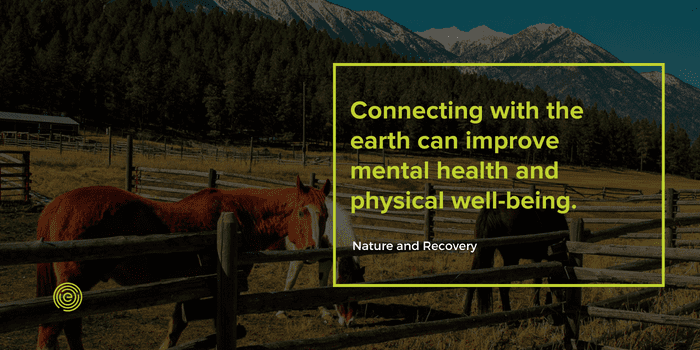 Quote- connecting with the earth can help improve mental and physical health.